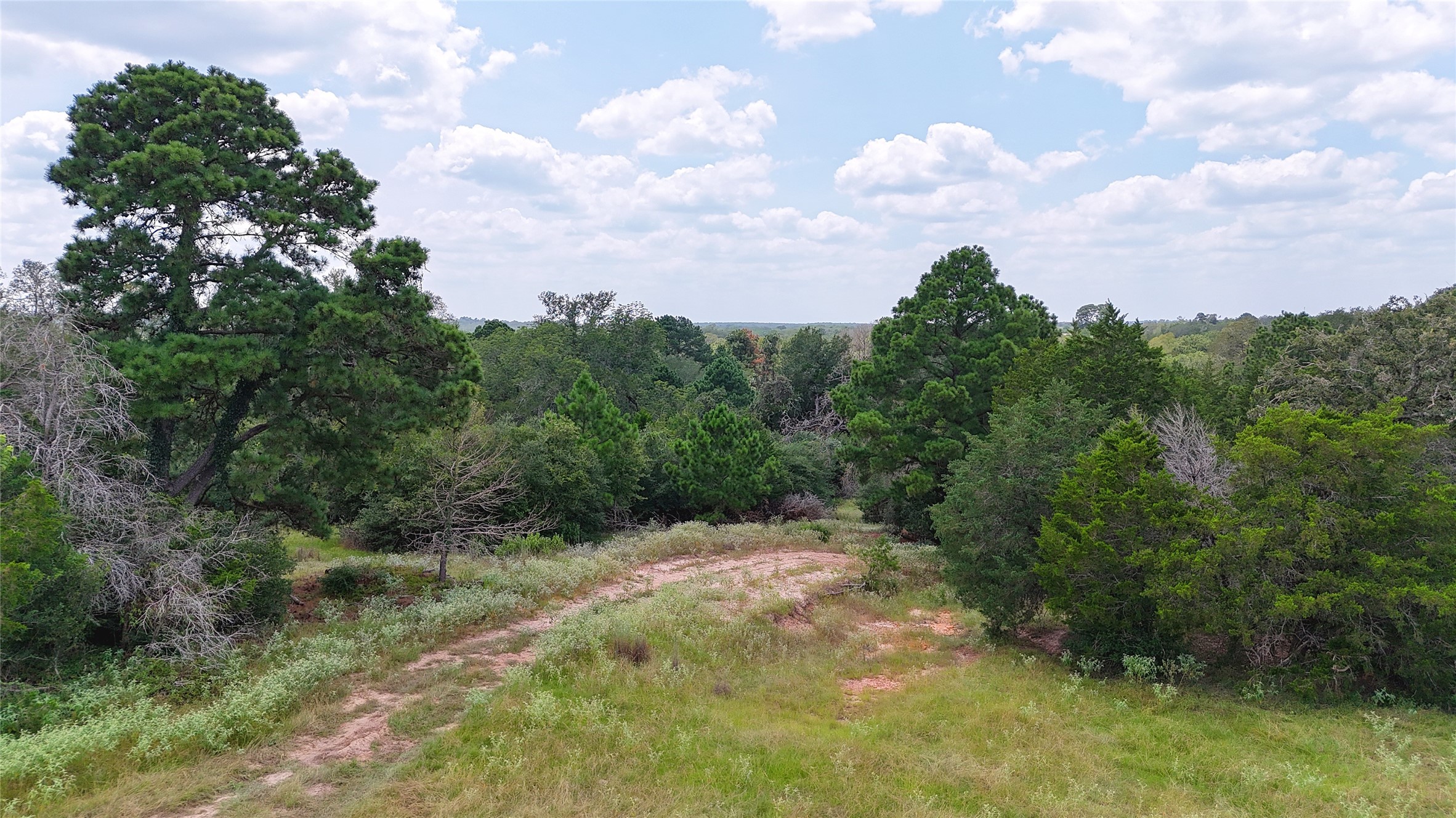 Tbd (tract 8 And 13) Saint Delight Road Property Photo 16