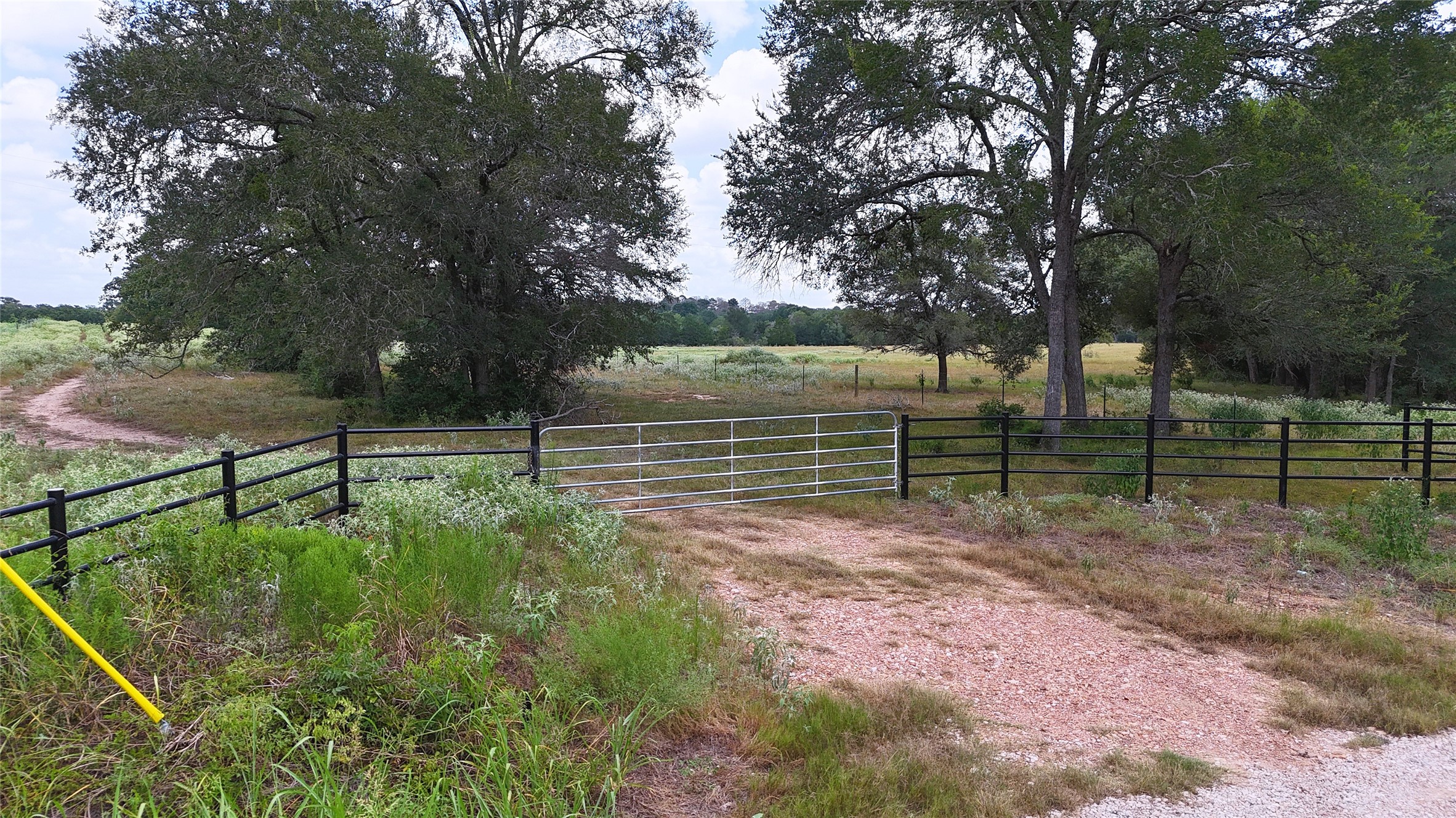 Tbd (tract 8 And 13) Saint Delight Road Property Photo 19