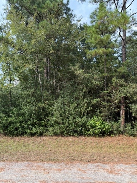 0 TBD Little John Circle Property Photo 1