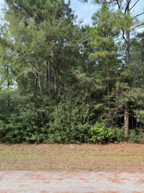 0 Tbd Little John Circle Property Photo 2