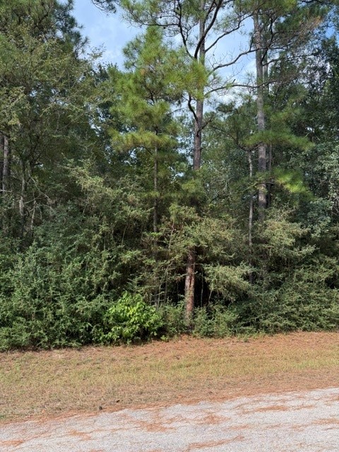 0 Tbd Little John Circle Property Photo 3