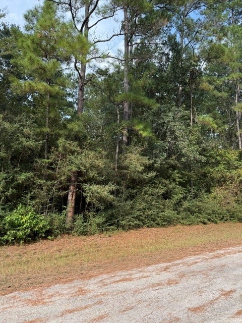 0 Tbd Little John Circle Property Photo 4