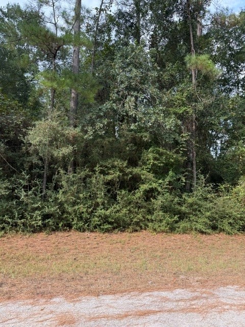 0 Tbd Little John Circle Property Photo 5