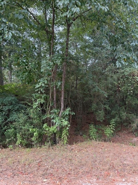 0 Tbd Little John Circle Property Photo 9