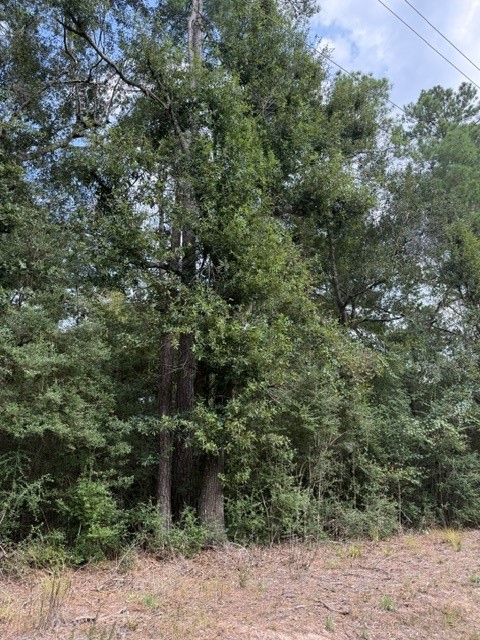 0 Tbd Little John Circle Property Photo 16