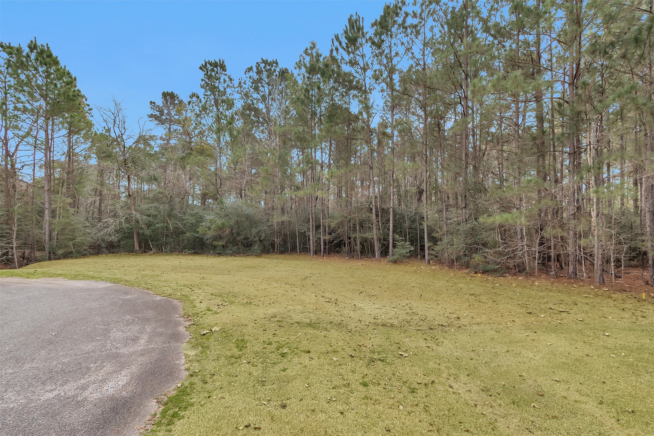 11464 Queensboro Court Property Photo 3