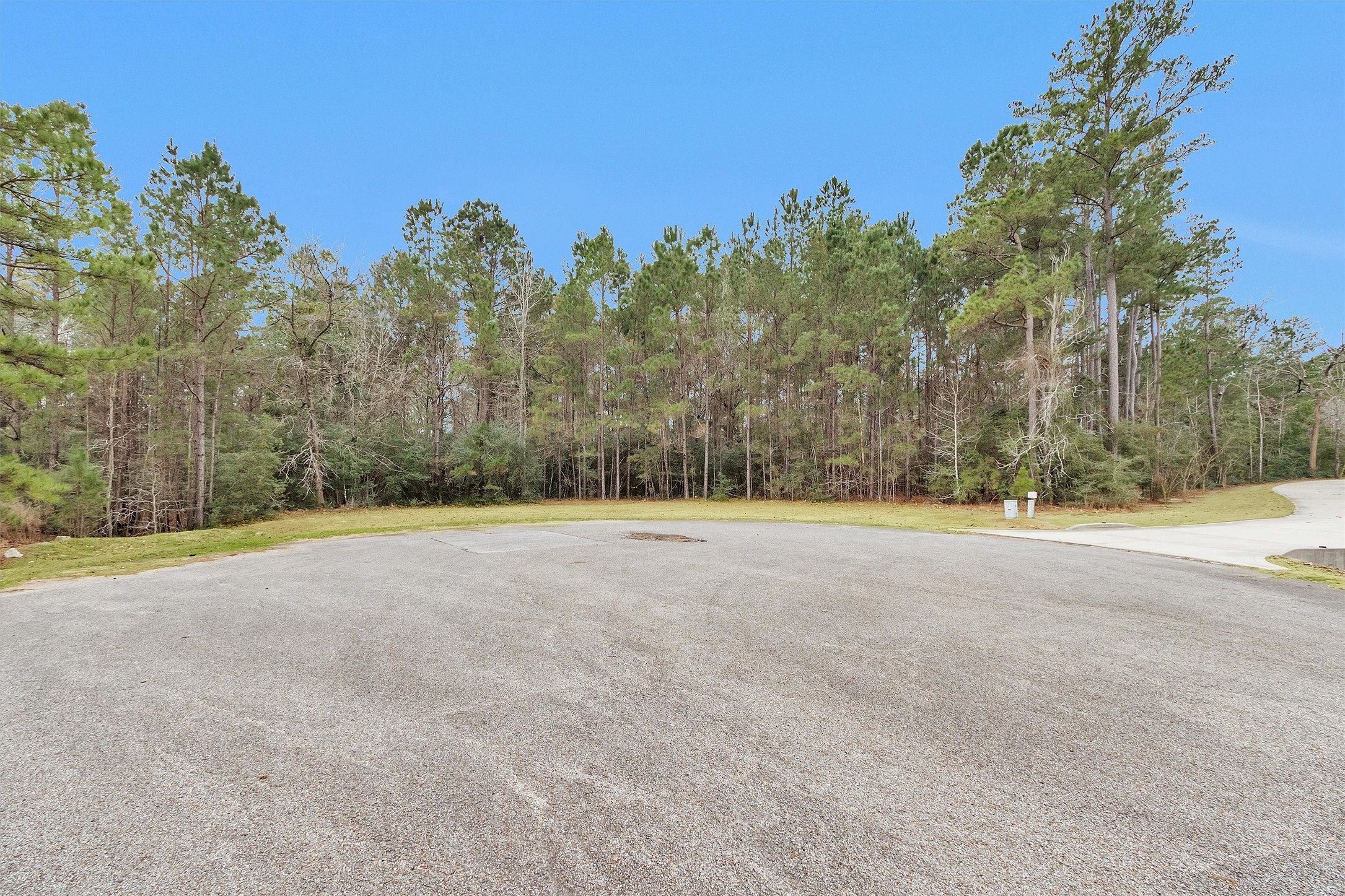 11464 Queensboro Court Property Photo 19