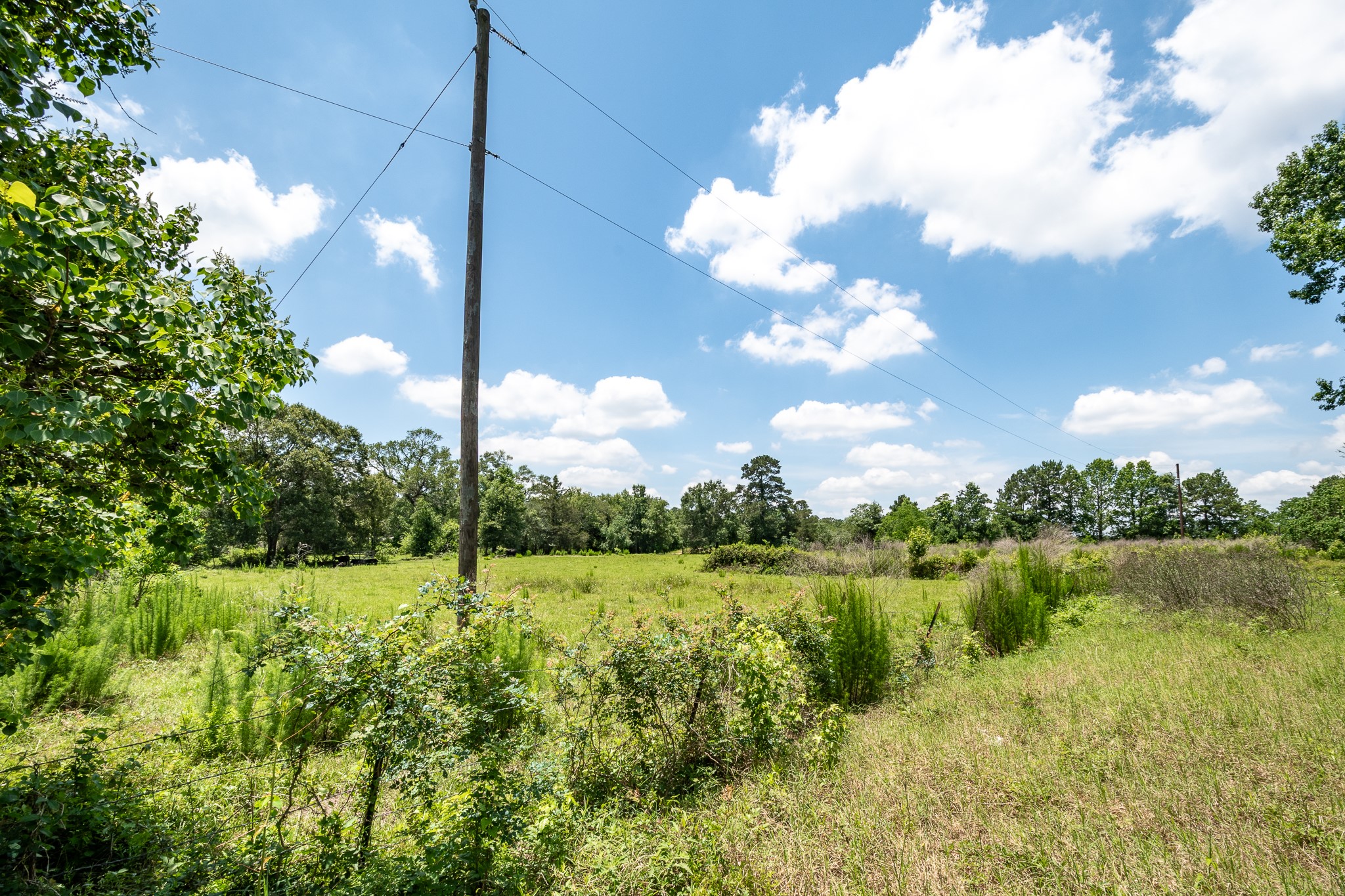 000 Fm 1485 Road Property Photo 11