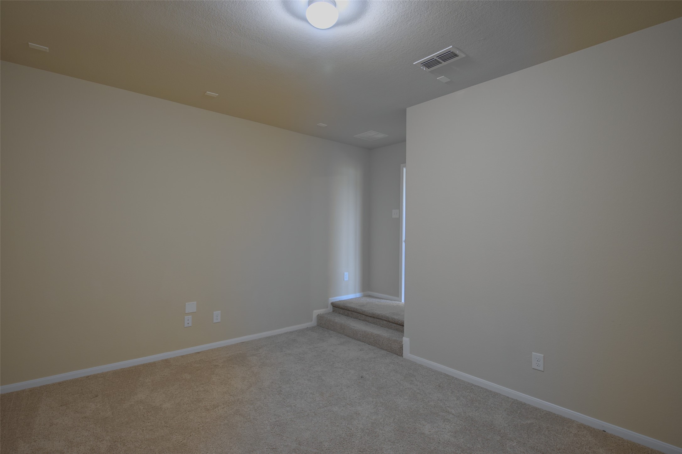 3519 Dryer Park Drive Property Photo 33