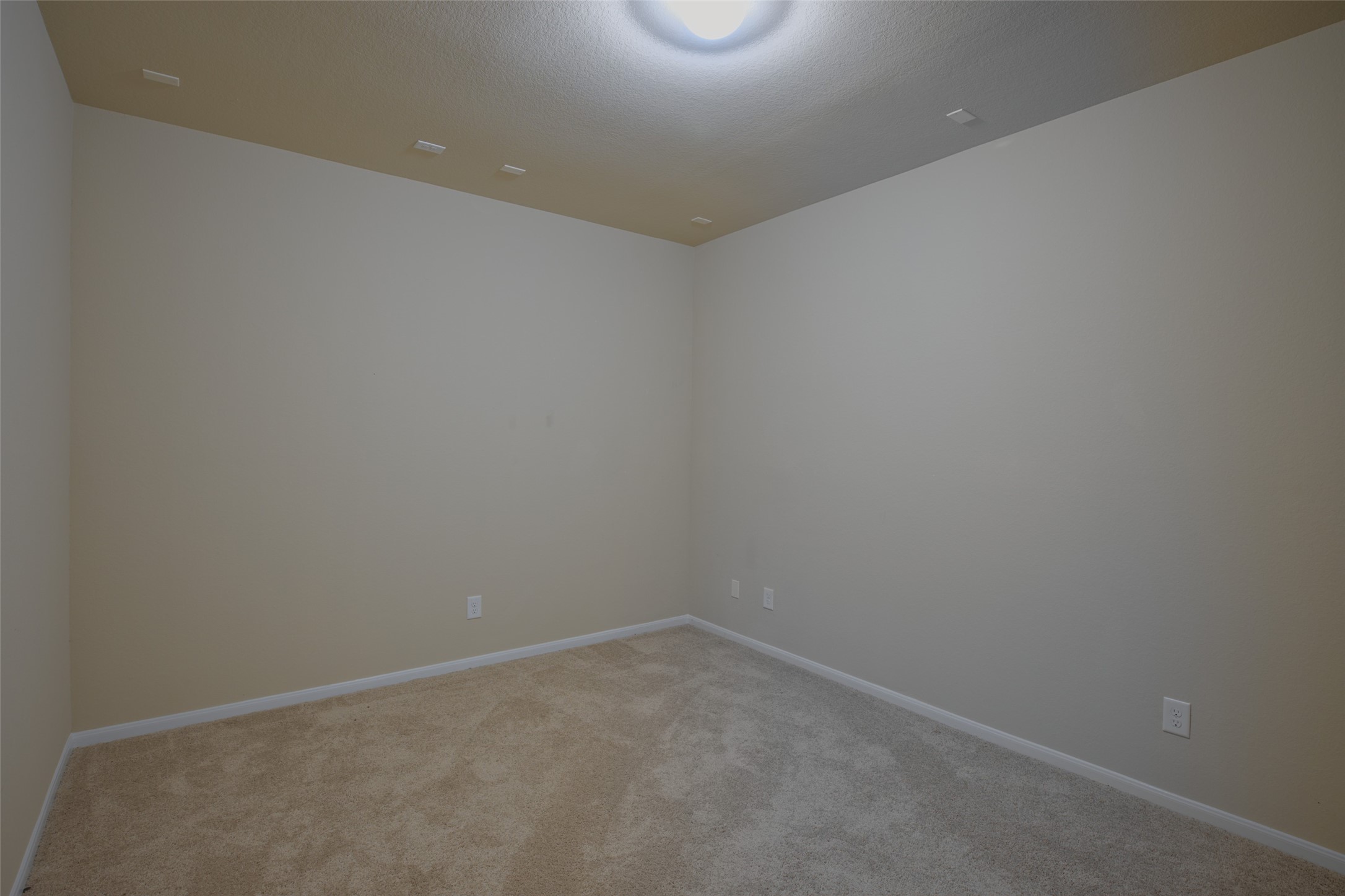 3519 Dryer Park Drive Property Photo 34