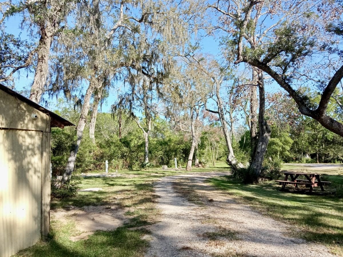 17628 County Road 426 Property Photo 6