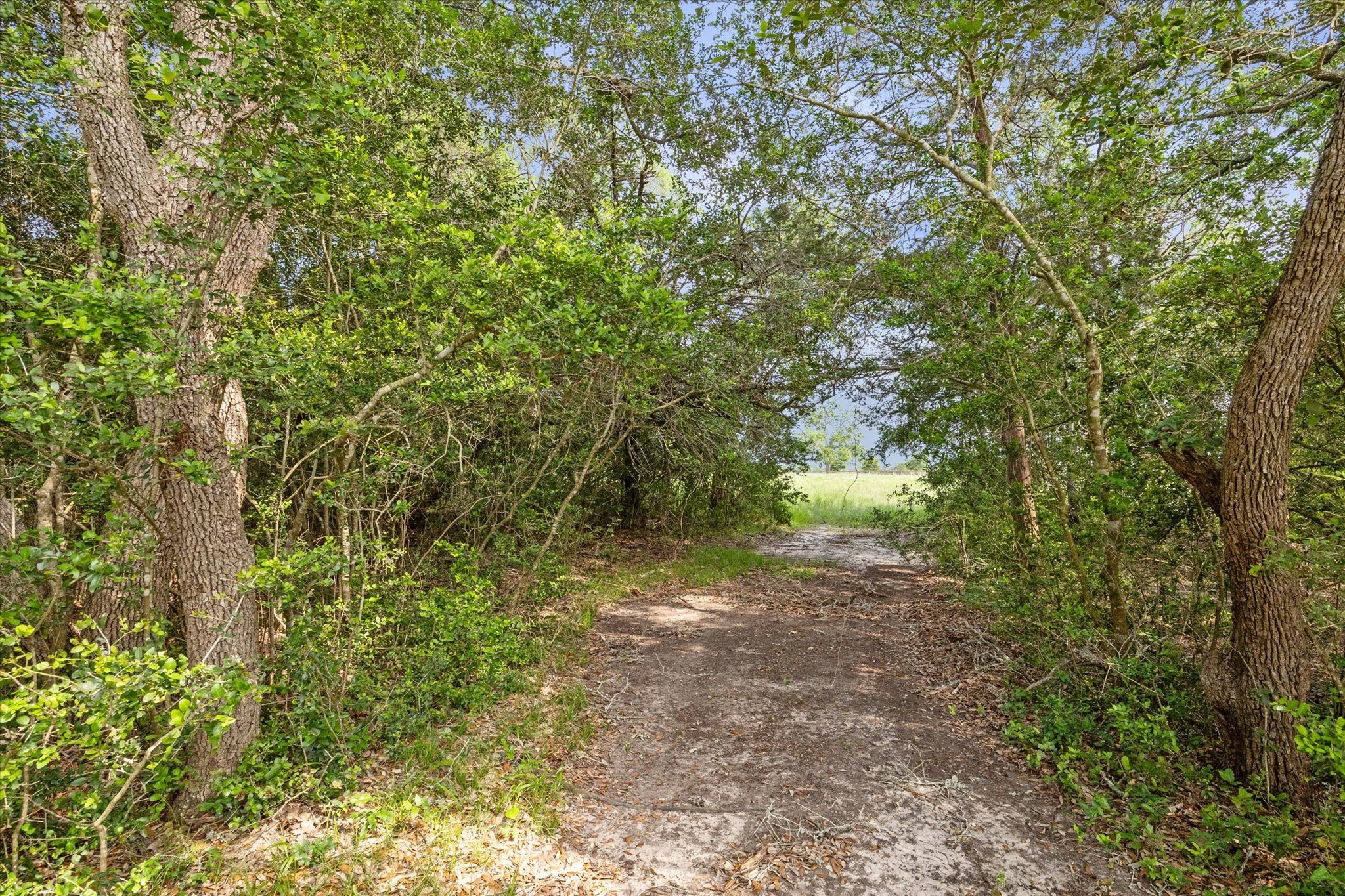 880 N Weyand Road Property Photo 1