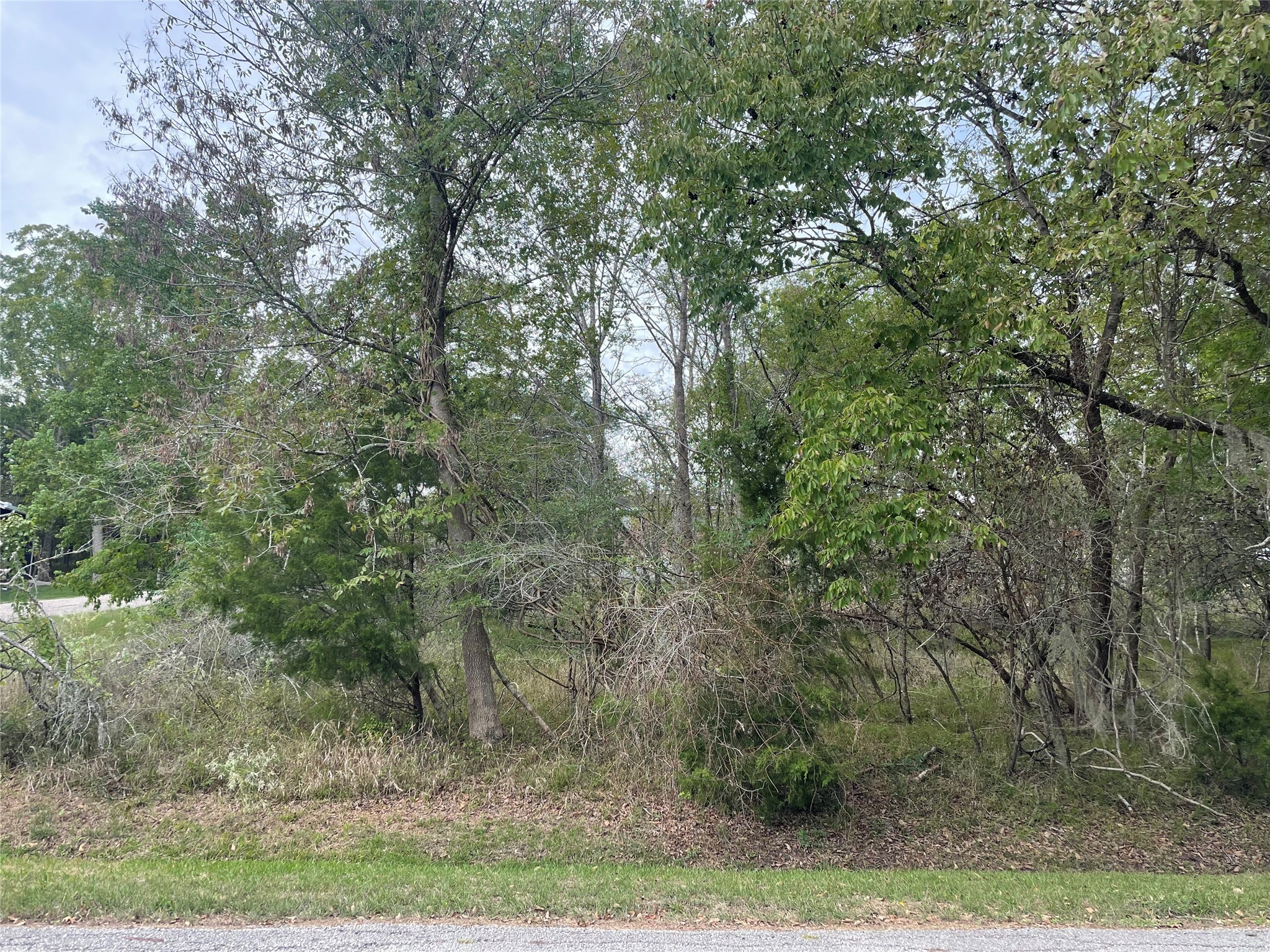 Tbd N Forest Cove Loop Property Photo 2