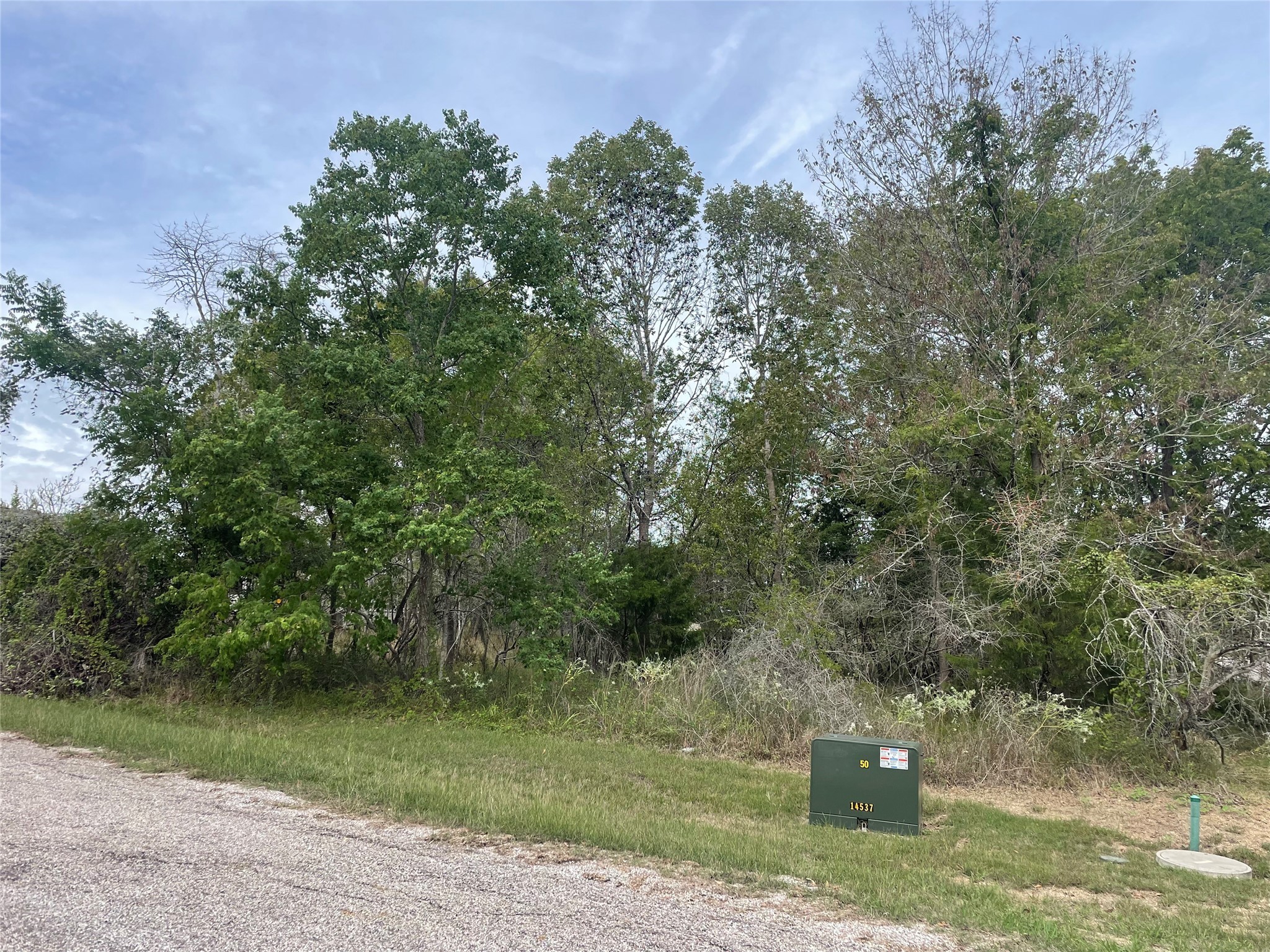 Tbd N Forest Cove Loop Property Photo 3