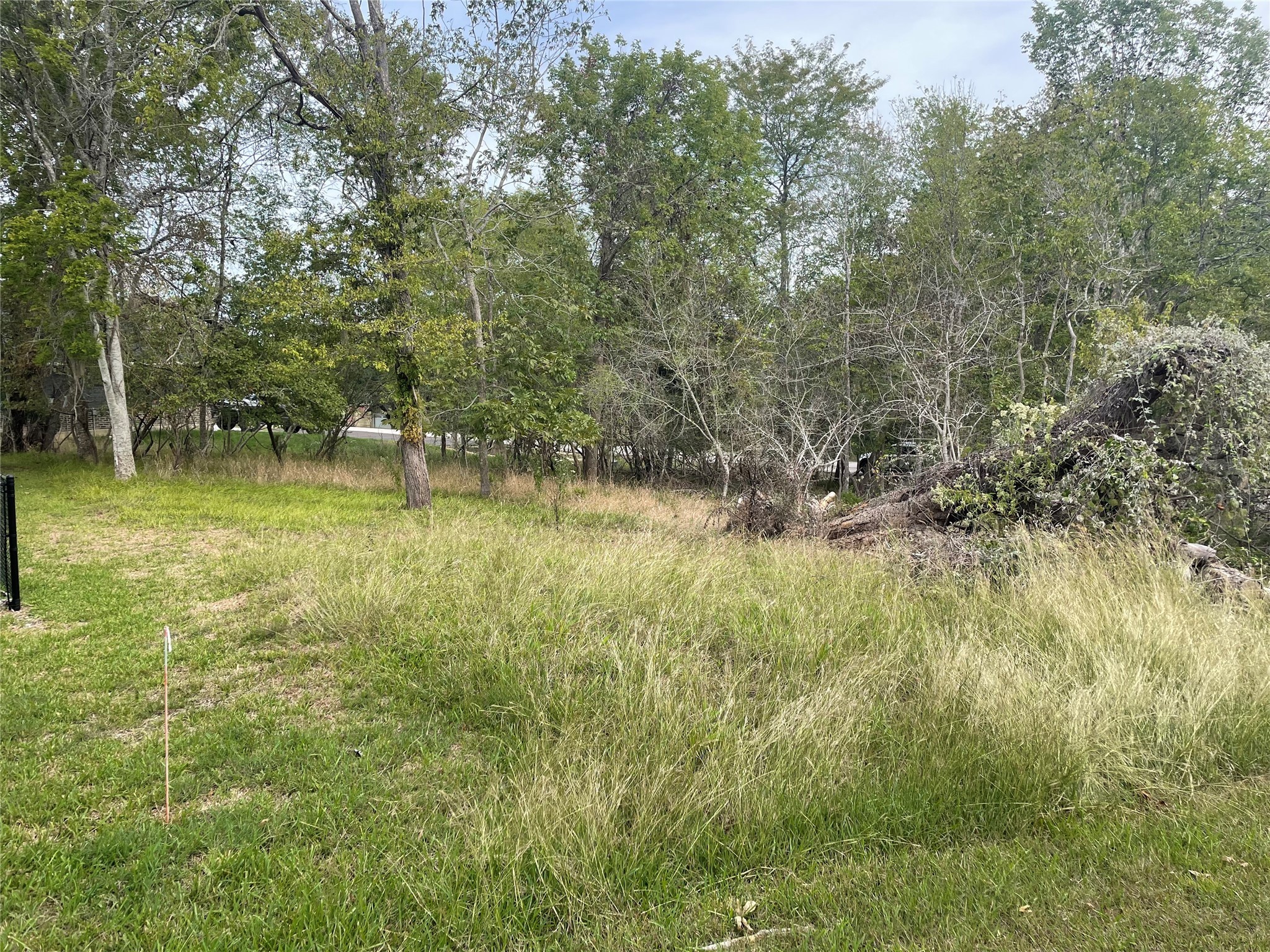 Tbd N Forest Cove Loop Property Photo 5