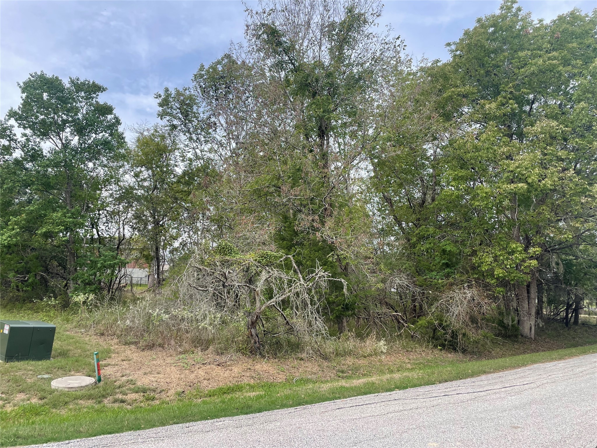 Tbd N Forest Cove Loop Property Photo 6