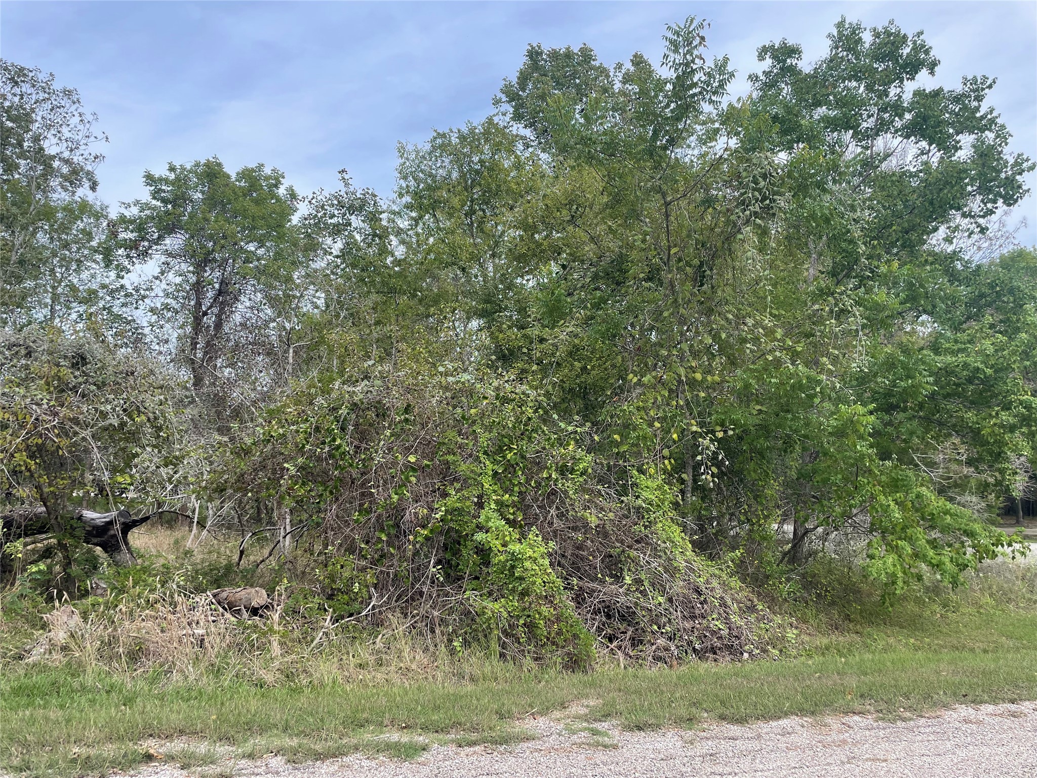 Tbd N Forest Cove Loop Property Photo 7