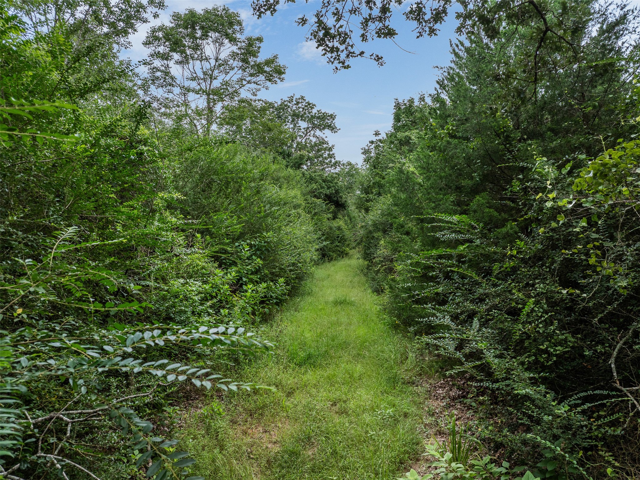 Tbd West Caney Road Property Photo 1