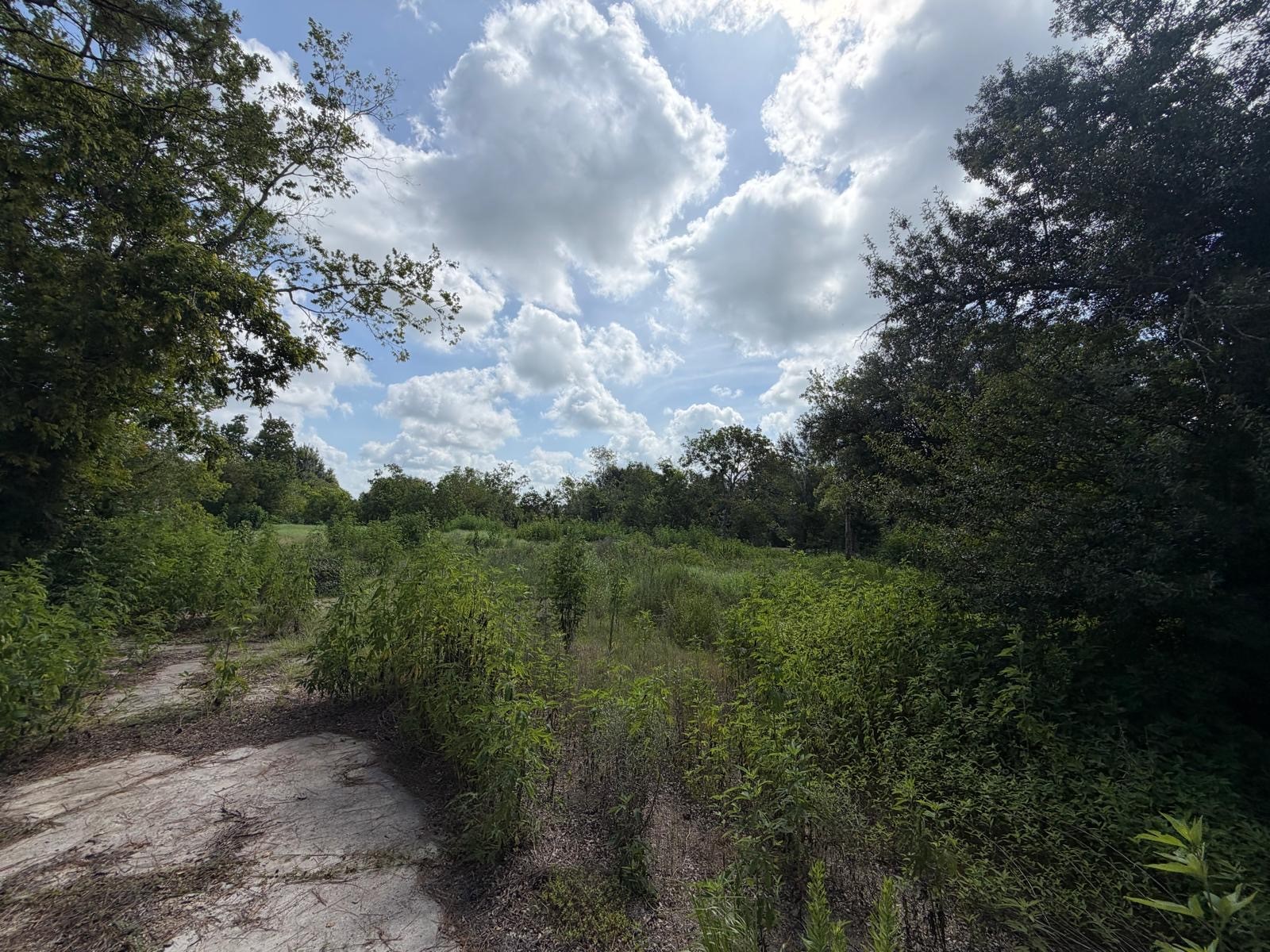 15821 Highway 36 Property Photo 7