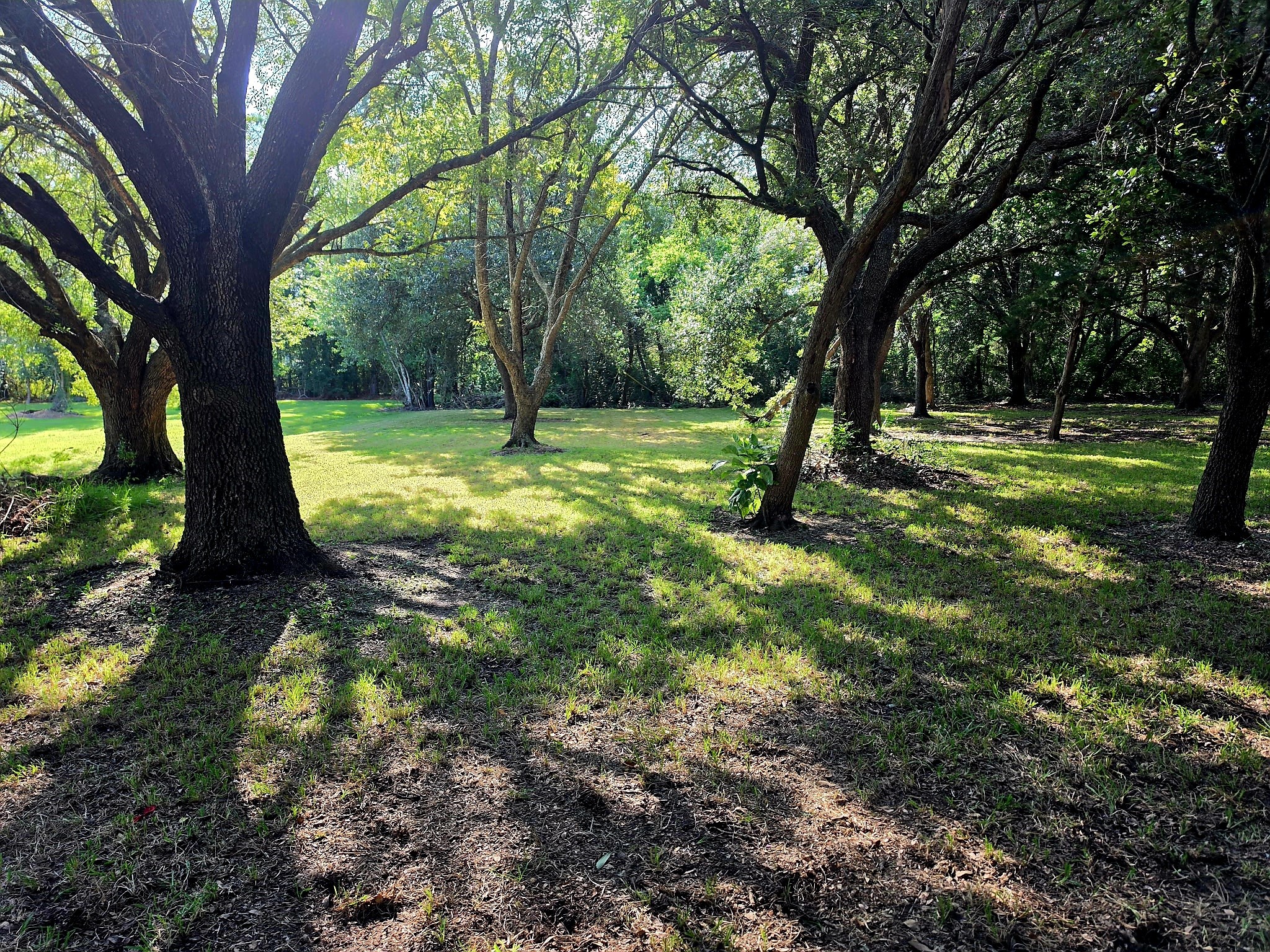 13502 30th Street Property Photo 16