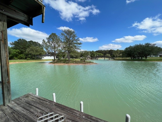 17521 Rose Down Circle Property Photo 3
