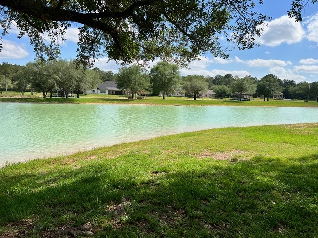 17521 Rose Down Circle Property Photo 12