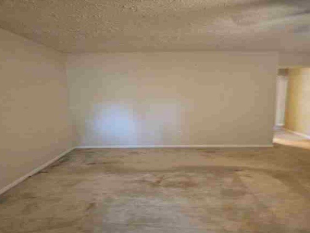 511 Shadylake Drive Property Photo 10