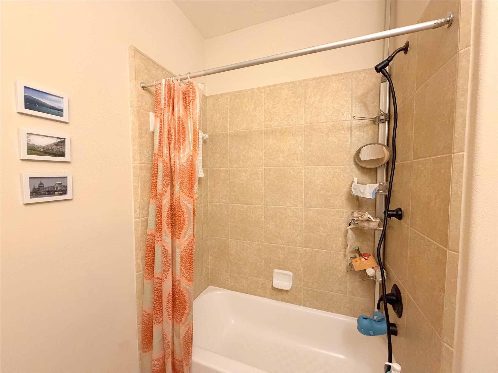 3626 Serrano Valley Lane Property Photo 9