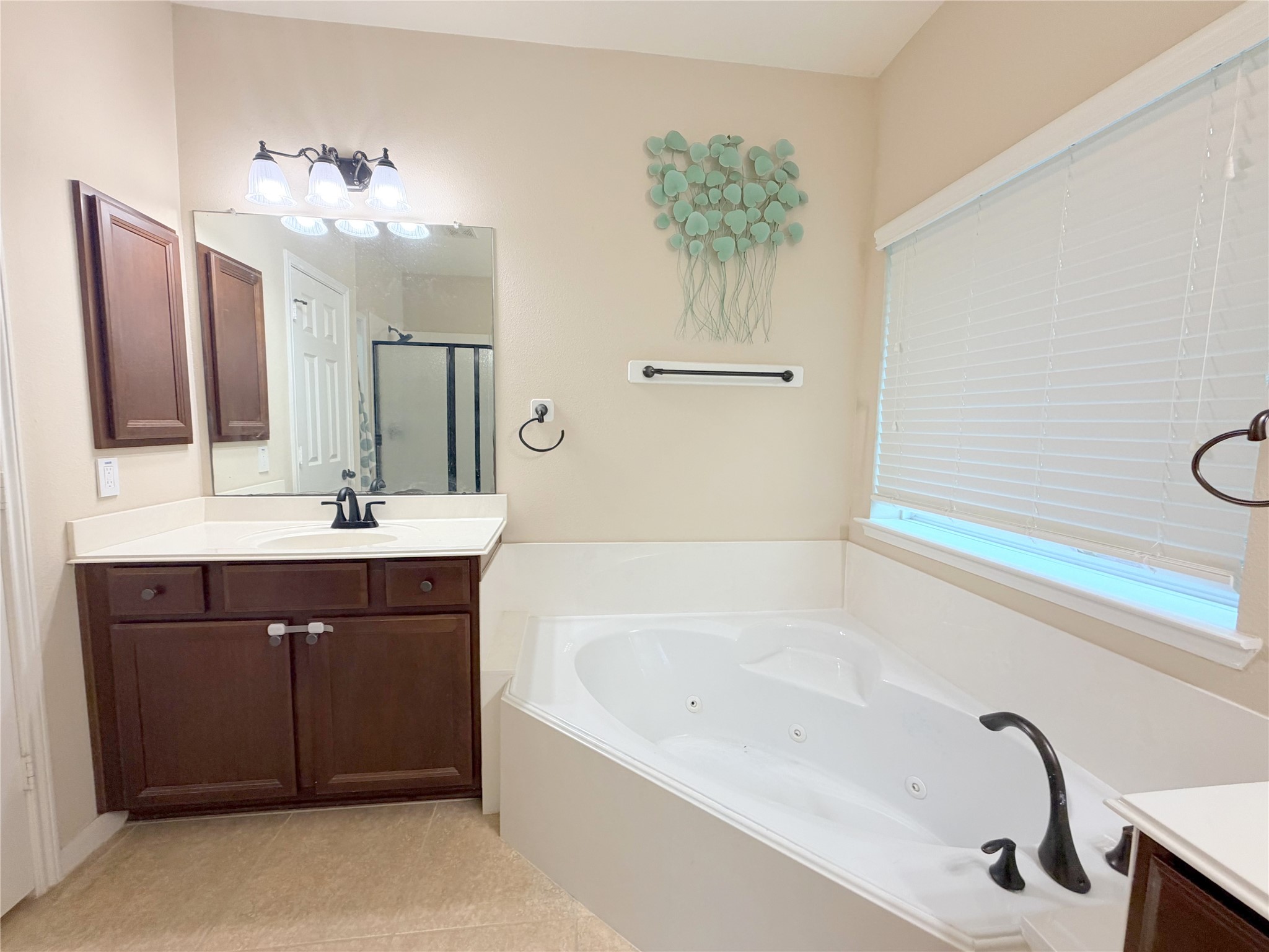 3626 Serrano Valley Lane Property Photo 27