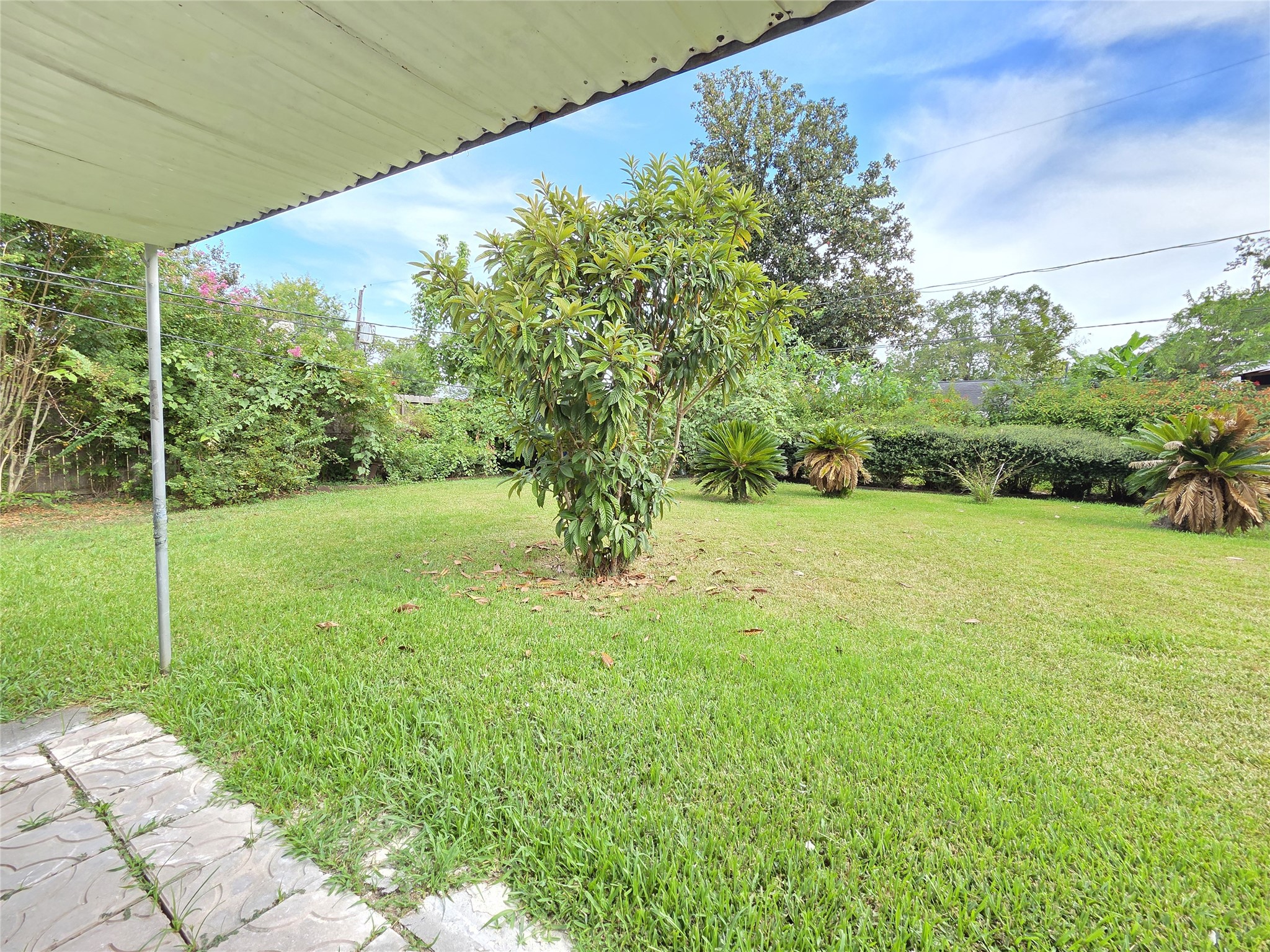 9754 Ebb Street Property Photo 19
