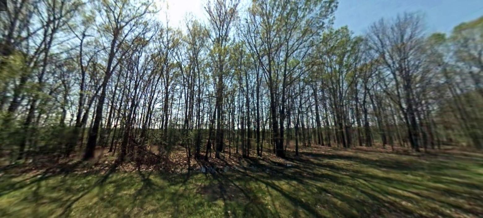 302 Terrell Road Property Photo 5