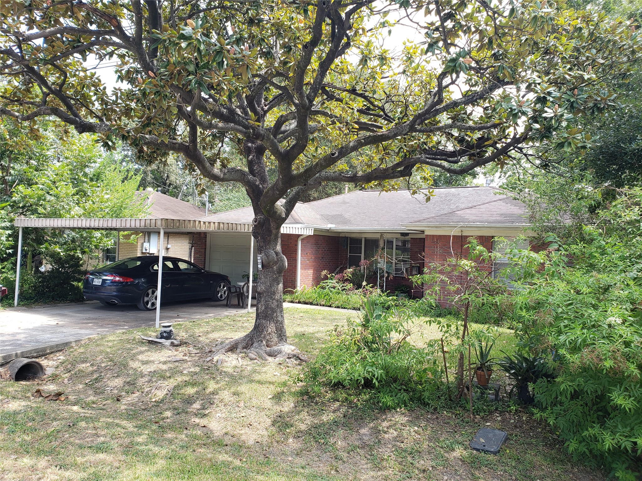 5906 Leon Street Property Photo 1