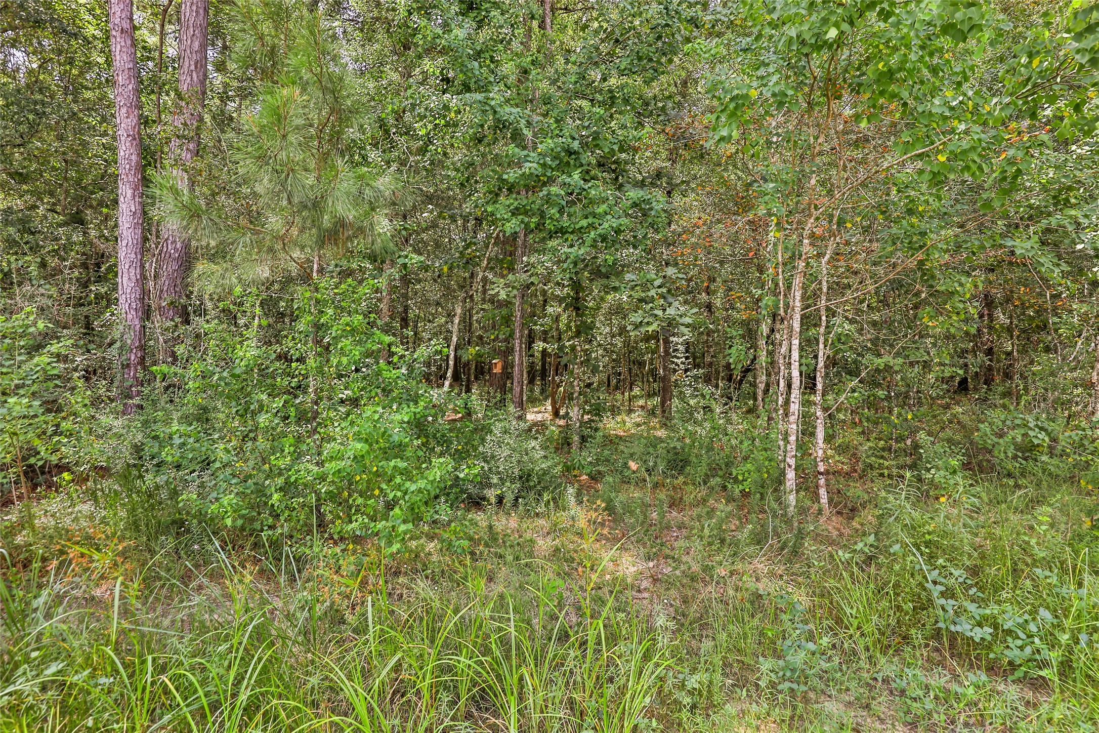 525 Little Spring Court Property Photo 8