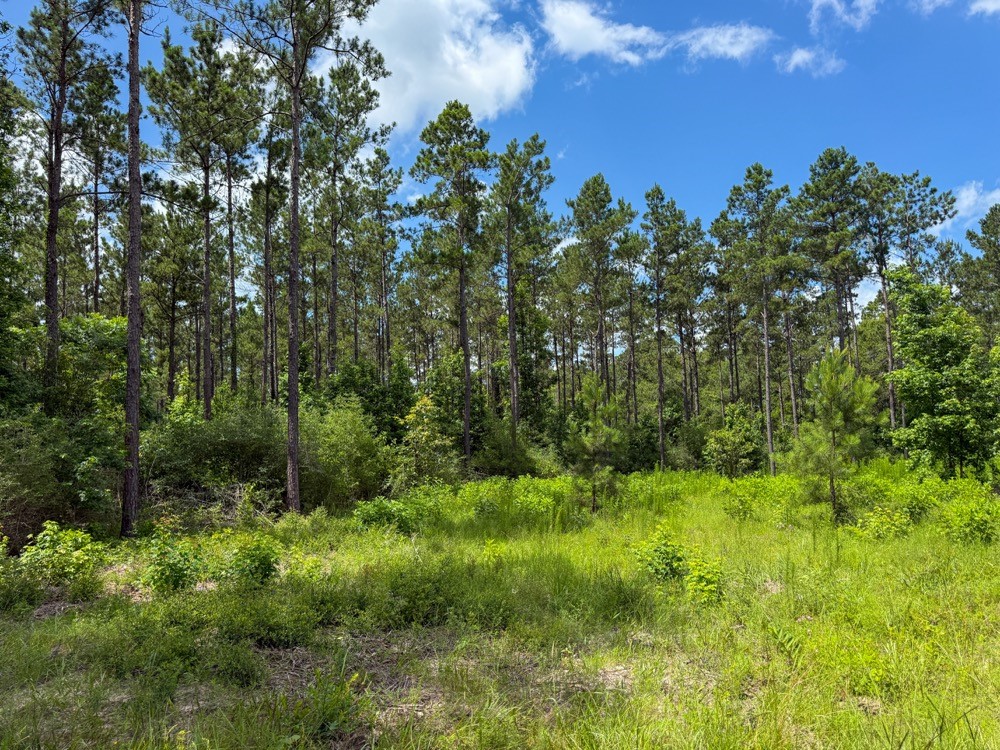 Xxx County Road 1450 Property Photo 6