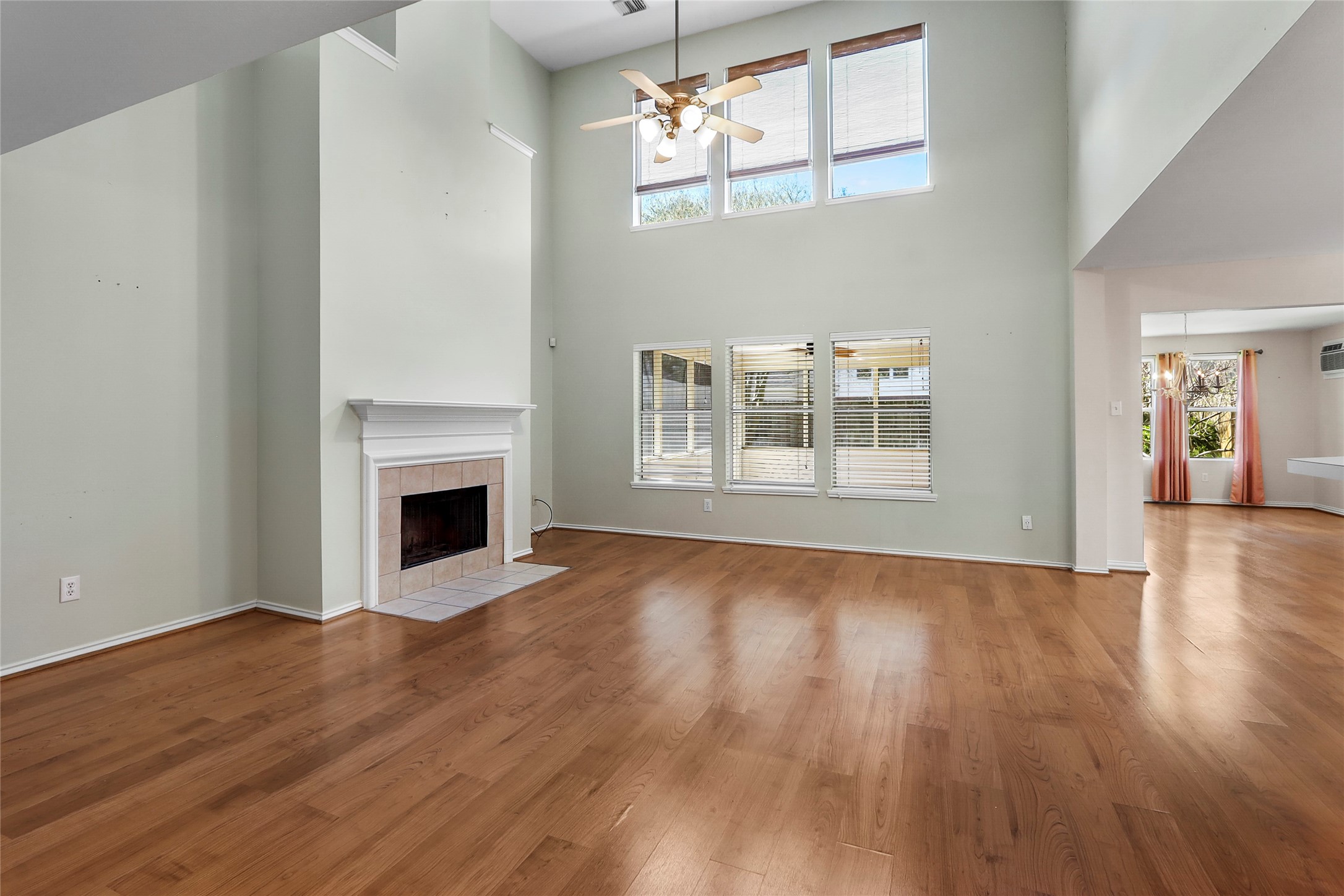 1611 Brady Creek Lane Property Photo 3