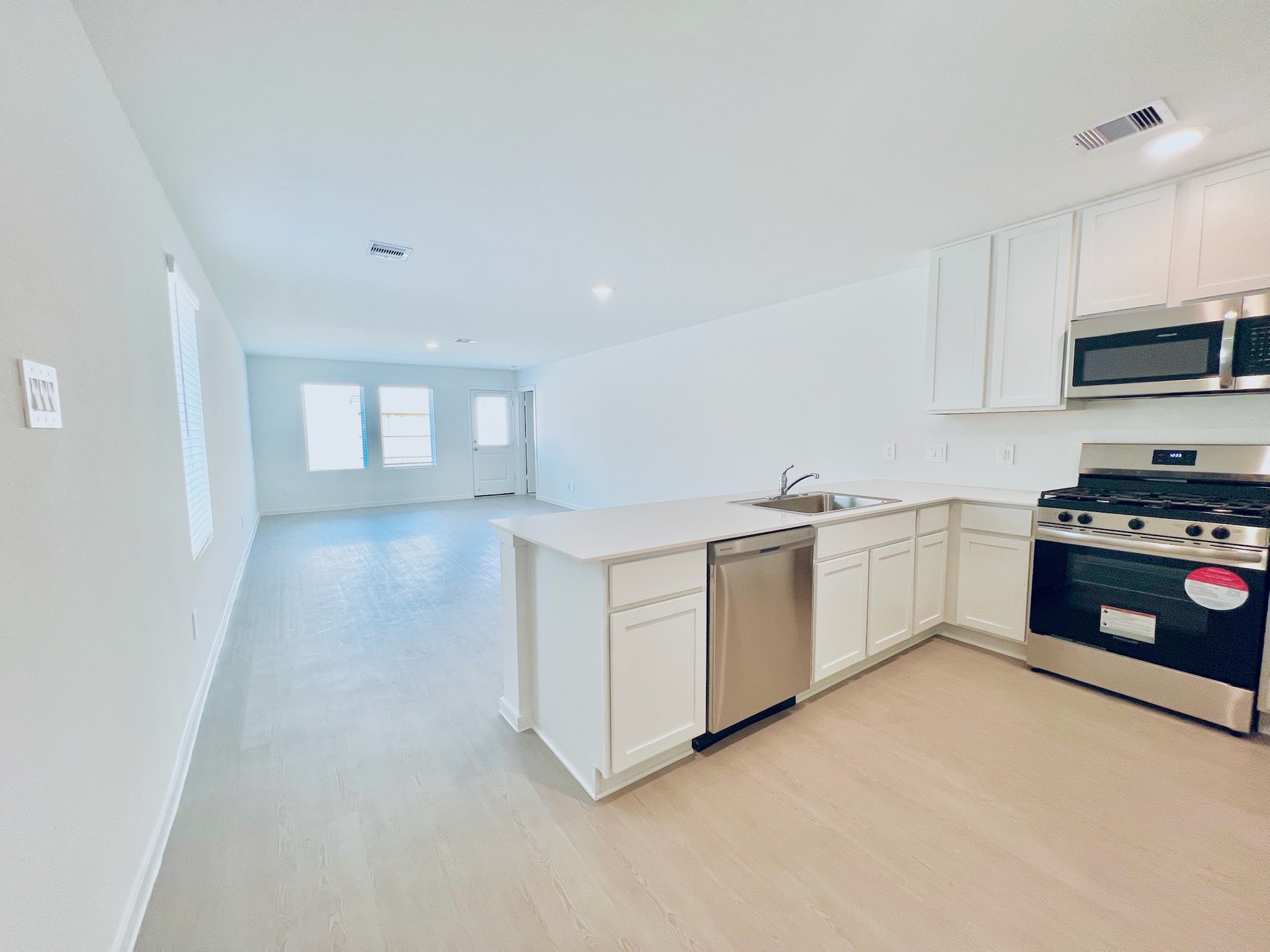 1367 Diamond Carnation Drive Property Photo 3