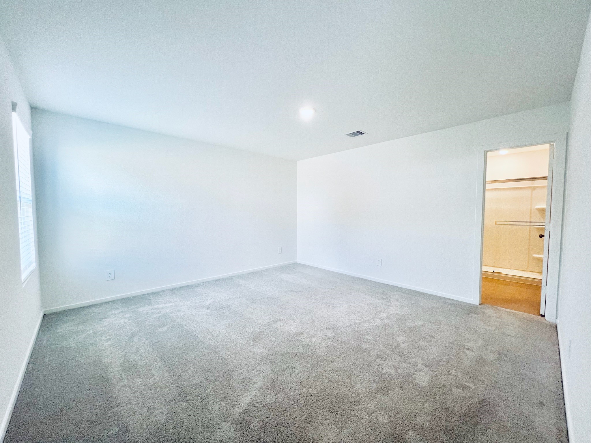 1367 Diamond Carnation Drive Property Photo 4