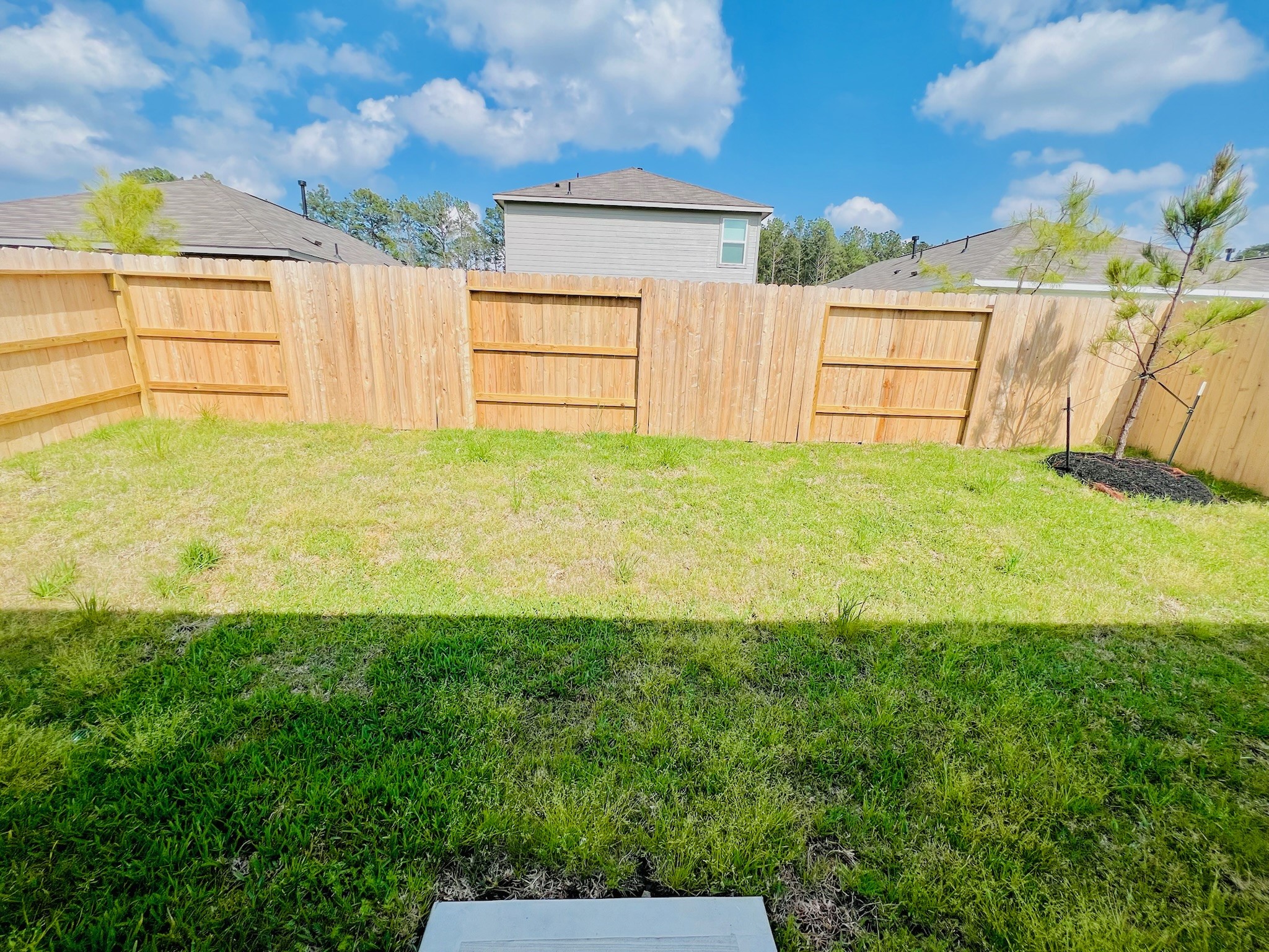 1367 Diamond Carnation Drive Property Photo 11
