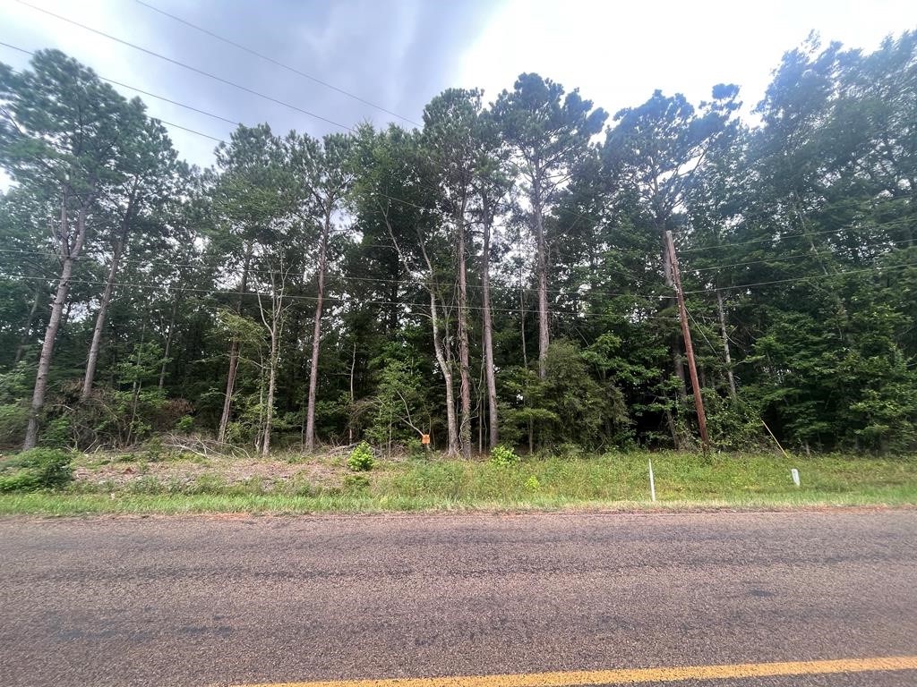Tract 57 Fm 1751 Property Photo