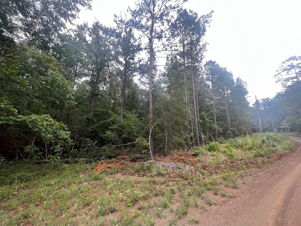 Tract 57 Fm 1751 Property Photo 2