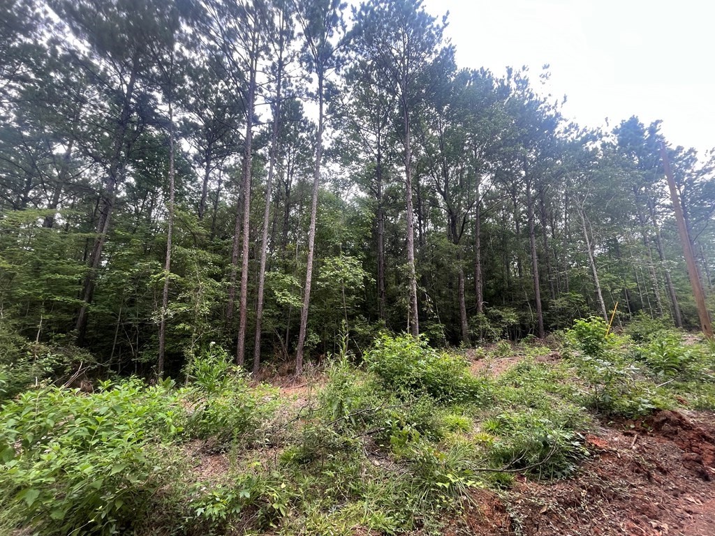 Tract 57 Fm 1751 Property Photo 3