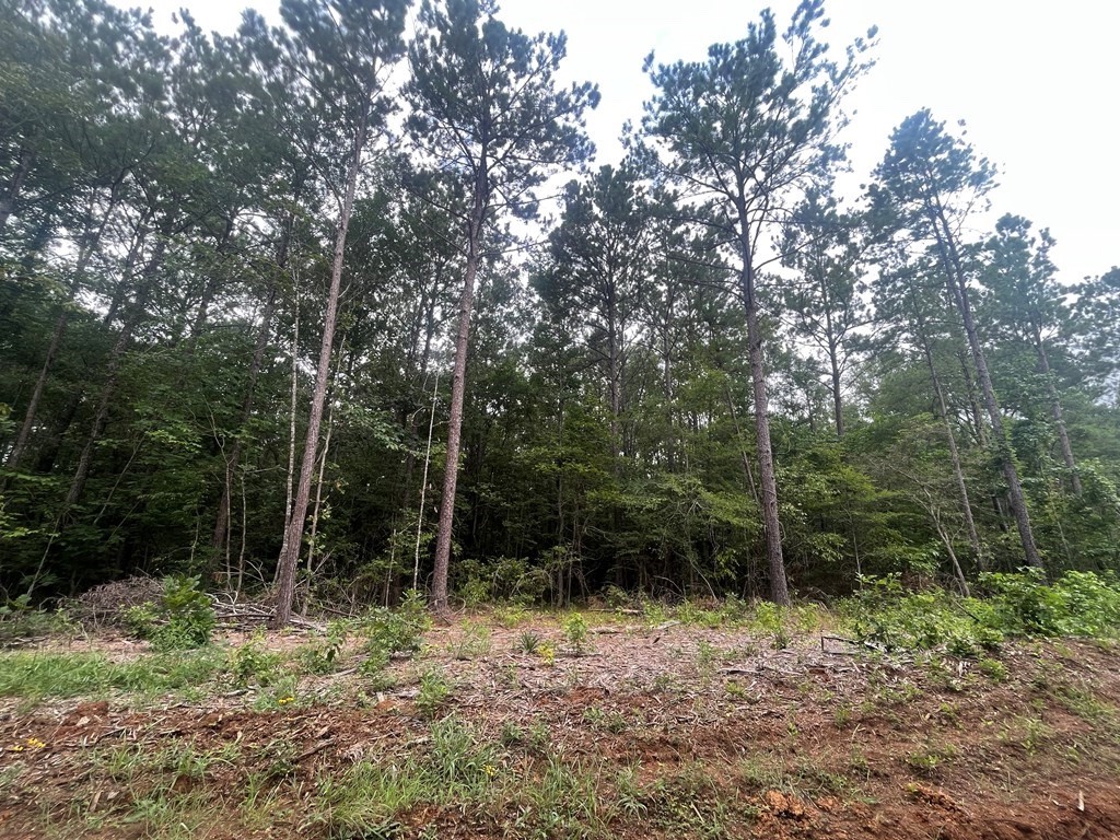 Tract 57 Fm 1751 Property Photo 4