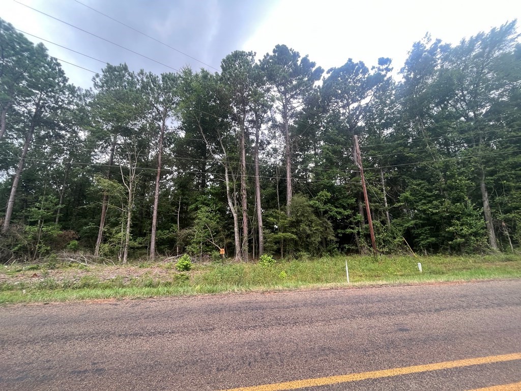 Tract 57 Fm 1751 Property Photo 6