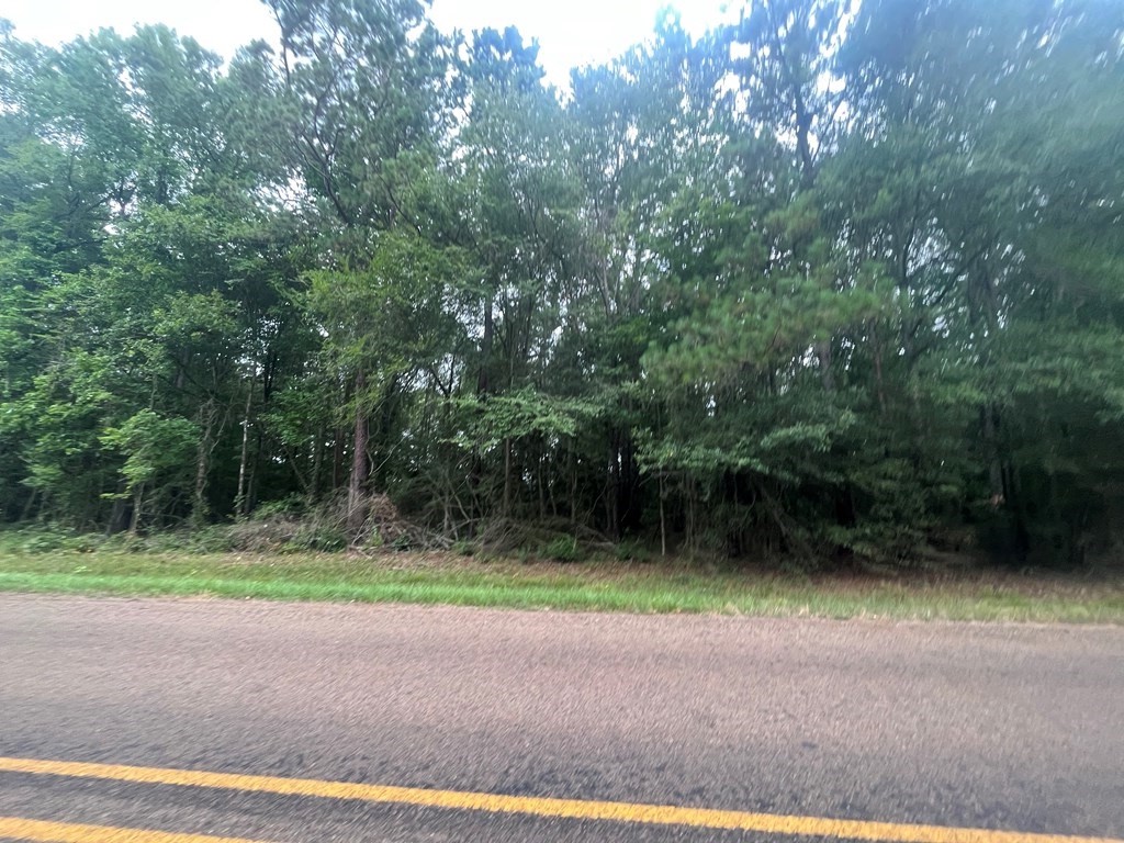 Tract 57 Fm 1751 Property Photo 8
