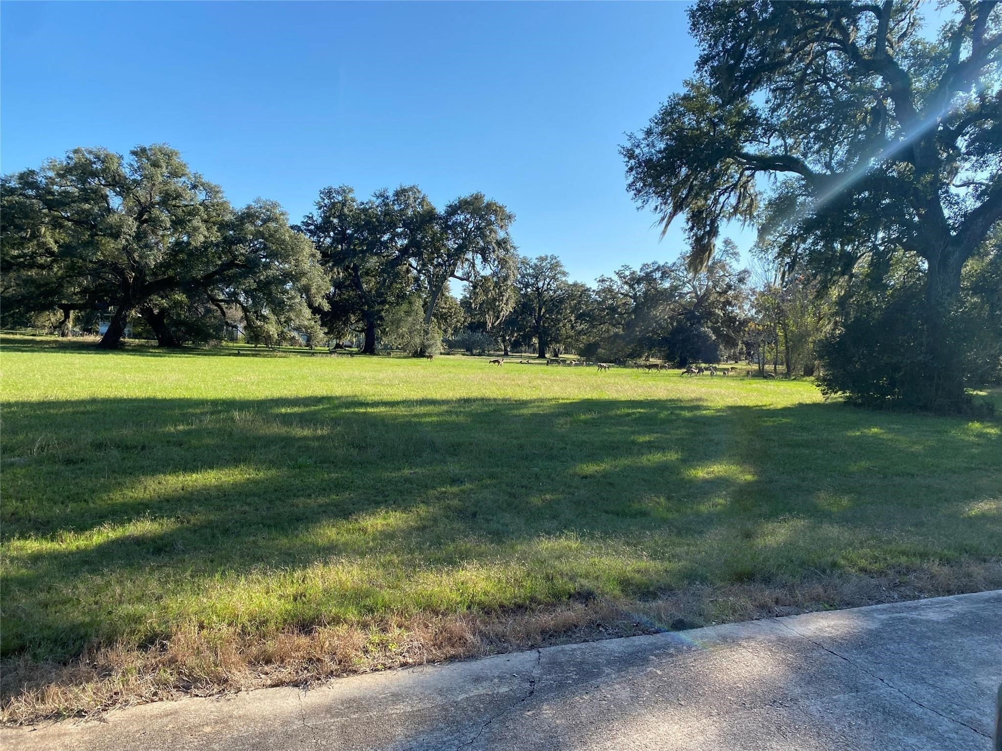 506 Rocking Horse Court Property Photo 1