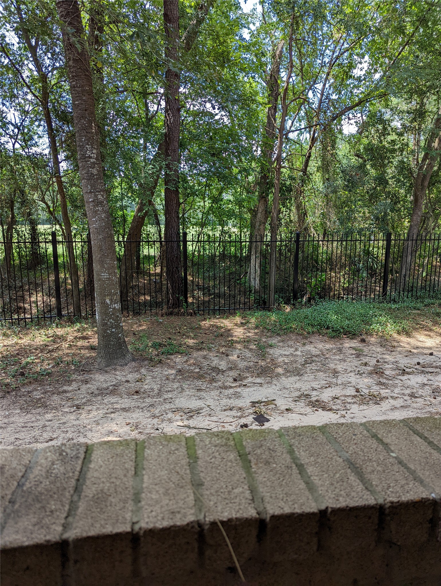 3500 Tangle Brush Drive 117 Property Photo 10