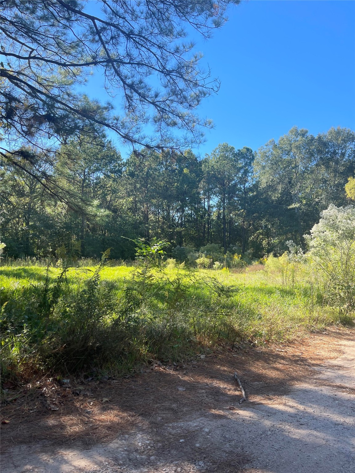 0 Le Conte Lane Property Photo 1