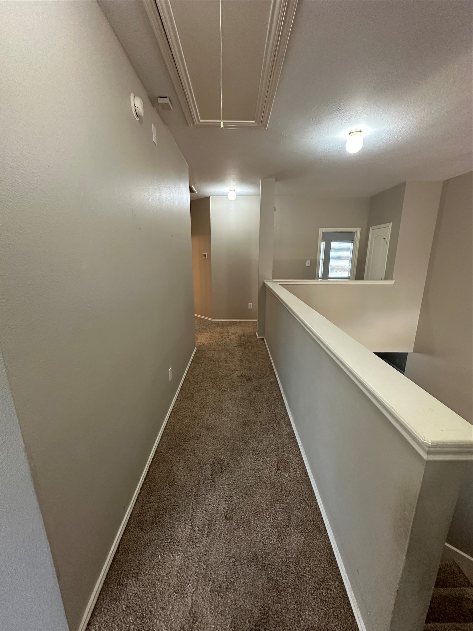 2417 Seguine Drive Property Photo 10