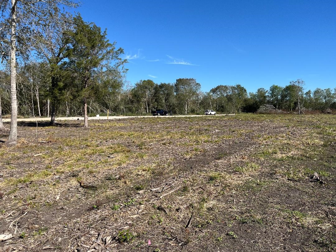 00 Lot 48 Bijou Rue Property Photo 5