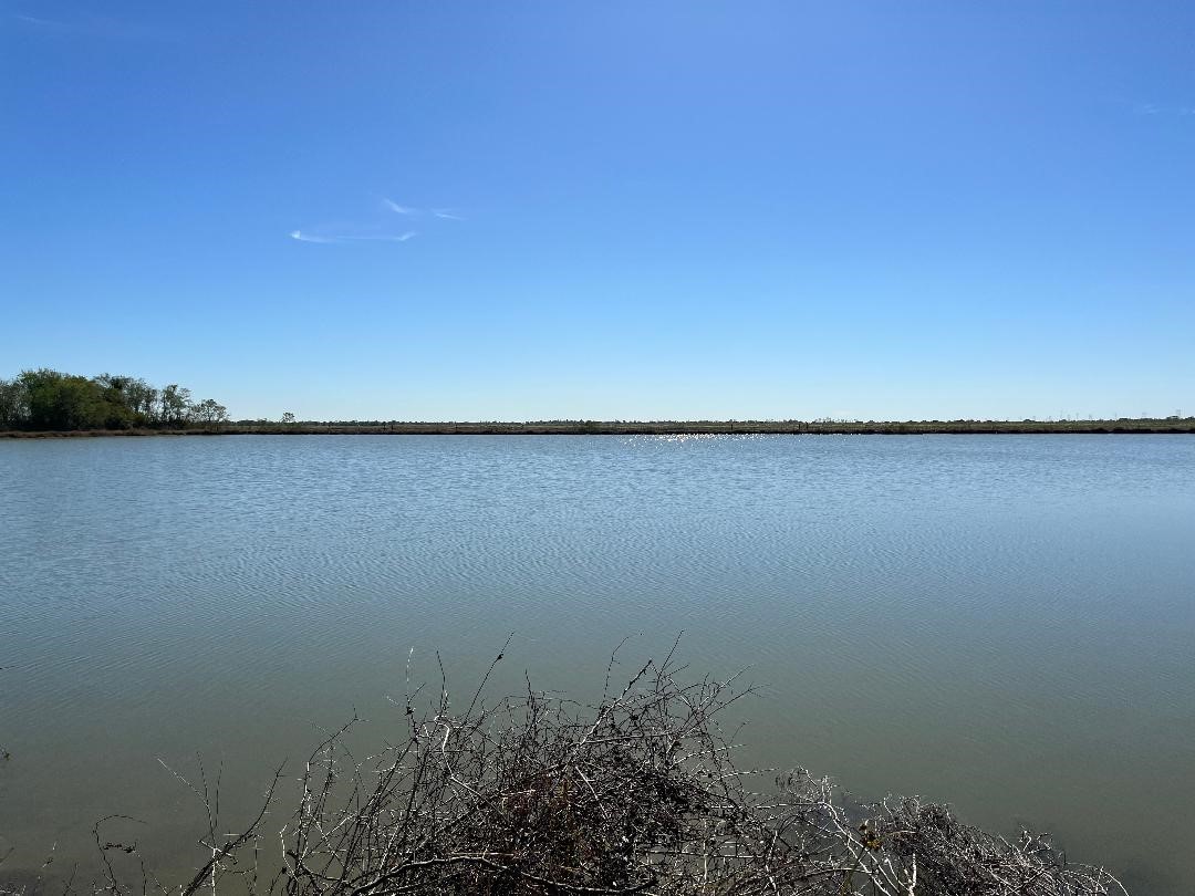 00 Lot 48 Bijou Rue Property Photo 10